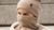 A girl wearing the menique merino wool and cashmere beanie and dickie neck warmer in creamy beige color. The dickie is rolled up to her nose bridge, covering the lower half of her face. 