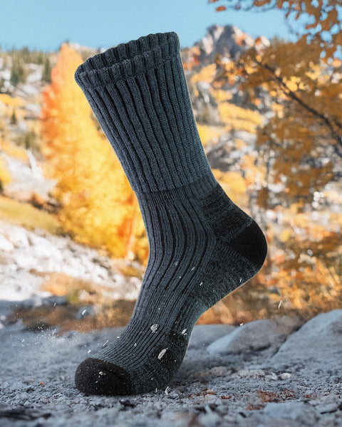 Dark Gray sock with black toes and heels on a rocky surface with autumn foliage in the background