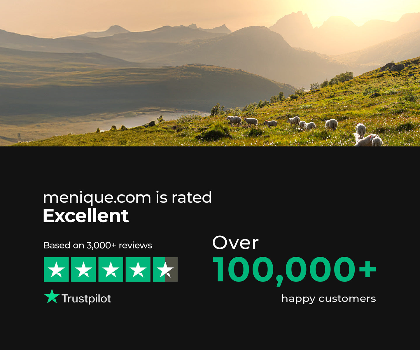 Sheep grazing on a grassy hill with mountains in the background, overlaid with menique.com rating information.