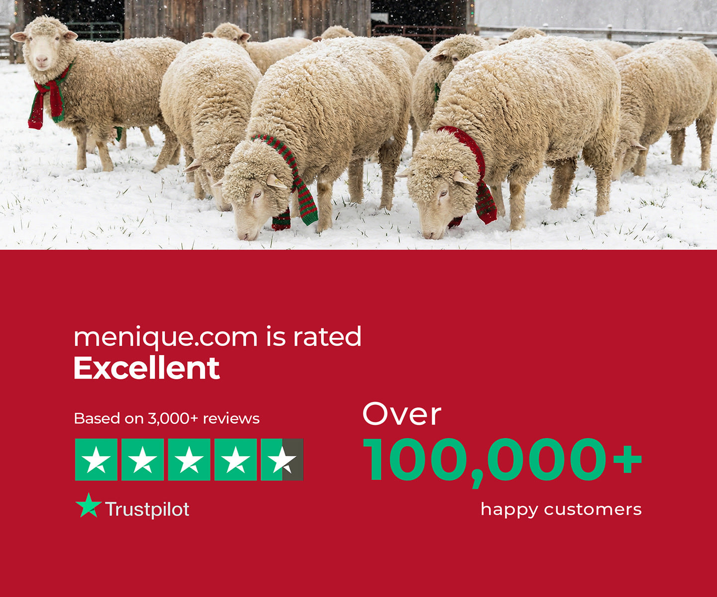 Sheep in a snowy field with a red banner displaying menique.com rating information.